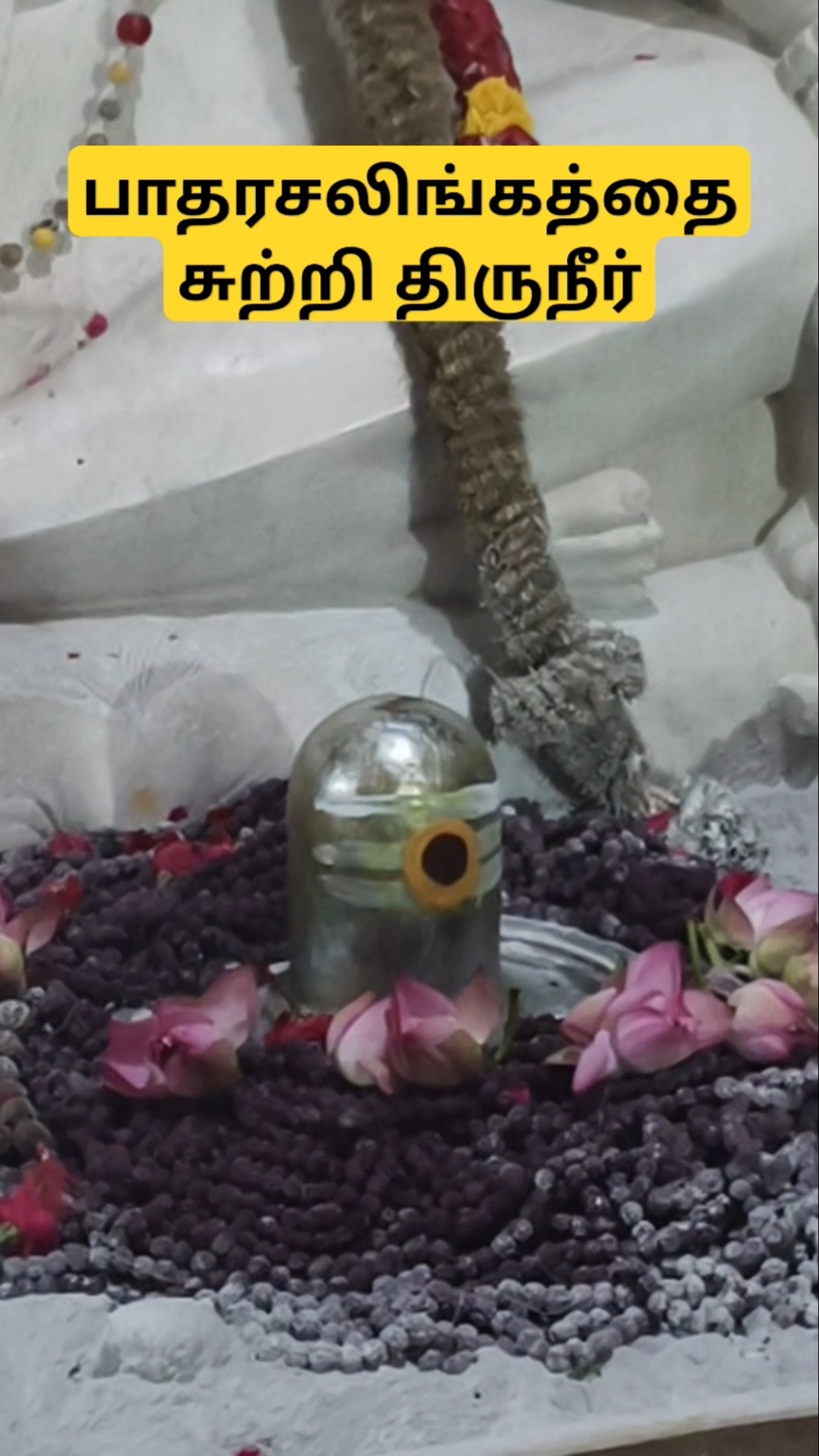 மகாதேவமலை l Magadevamalai Swami l மகானந்த சித்தர்